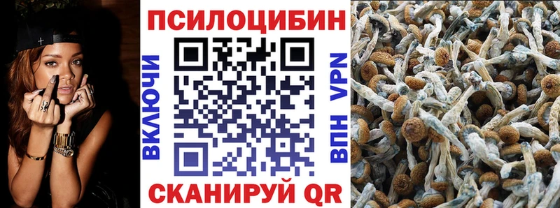 Галлюциногенные грибы Magic Shrooms Монино